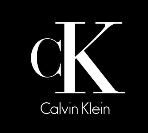 Descargar calvin klein marca ropa Moda logo blanco símbolo con nombre diseño vector ilustración con negro antecedentes