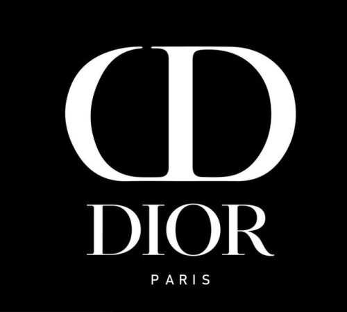 Download Dior Paris Brand Clothes Symbol Logo White Design luxury Fashion Vector Illustration With Black Background